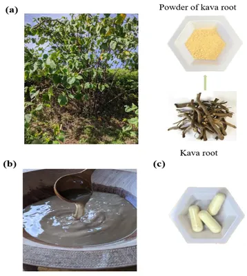 Kava Extract - 50g – Yum Cha Tea Company