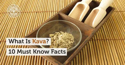 Kava, with caveats: is this popular psychoactive tea bad for your liver? |  The Verge