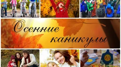 Плакат Опторг Кавказ Люди, Любовь купить по выгодной цене в  интернет-магазине OZON (824865108)