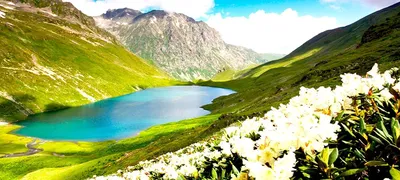Горы Кавказа (94 фото) - 94 фото