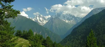 Кавказские горы: где находится, описание, история
