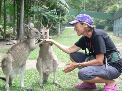 Экологи предложили отстреливать кенгуру, чтобы они не умирали от голода —  РБК