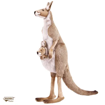 Немного о кенгуру - от «Эльба Мебель»