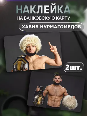 Хабиб Нурмагомедов UFC от tvcom