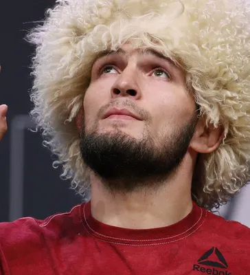 Источник: Хабиб Нурмагомедов может возобновить карьеру на турнире UFC 300 -  Российская газета