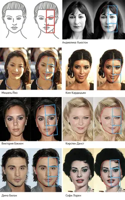 Физиогномика: как определить тип личности по чертам лица - Блог Викиум