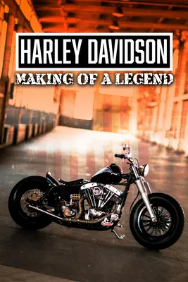 H-D CERTIFIED 2021 Harley-Davidson Street Glide Special Vivid Black – Black  Finish | Doc's Harley-Davidson®