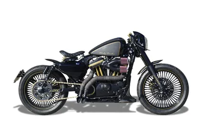 The hoglet: Harley-Davidson's Street 500 \"learner bike\"