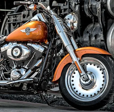 Welcome | Dayton, OH | Buckeye Harley-Davidson®