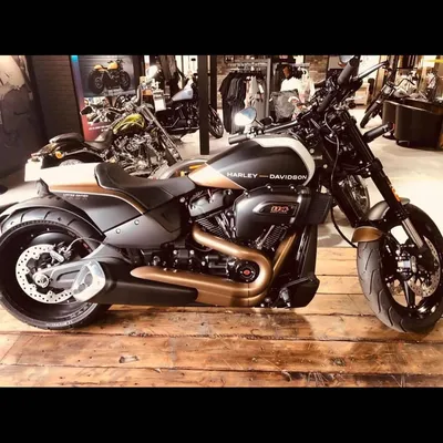 10 Best Harley Davidson Models to Buy in 2023 | RideNow Powersports