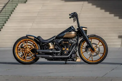 Harley-Davidson X440 deliveries to commence from October 15: Check price,  booking, engine specs, other details | Zee Business