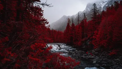 Скачать 1920x1080 река, деревья, красный, горы, туман, пейзаж обои,  картинки full hd, hdtv, fhd, 1080p