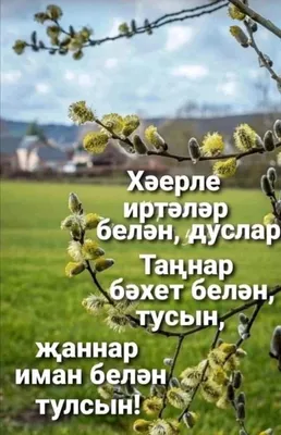 Татары и Татарочки - Хәерле иртә, кадерле дуслар! Good morning, dear  friends! | Facebook