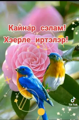 Сания (@sania_bakirova)'s videos with оригинальный звук - Сания | TikTok