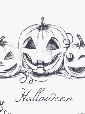 Раскраски тыквы на Хэллоуин распечатать или скачать бесплатно в формате PDF