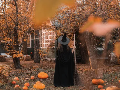 Обои Праздничные Хэллоуин, обои для рабочего стола, фотографии праздничные,  хэллоуин, фонарь, тыквы Обои для рабочего стола, скачать обои картинки  заставки на рабочий стол.