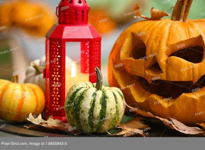 Хэллоуинская мышь с тыквой, хэллоуинские шерстяные фетровые украшения  ручной работы для Хэллоуина – лучшие товары в онлайн-магазине Джум Гик