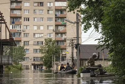Associated Press опубликовала кадры жителей Херсона, привязанных к столбам  - Газета.Ru | Новости