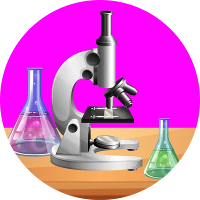 Химия, наука, химические элементы, классн классный Иллюстрация вектора -  иллюстрации насчитывающей формула, совет: 50770682