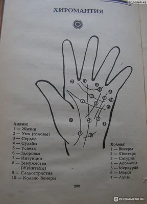 Хиромантия — стоковые фотографии и другие картинки Гадание - Гадание,  Хиромантия, Читать - iStock