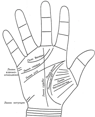 Хиромантия: линии на руке и их значение | Путешествия и туризм | Дзен