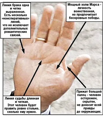 Будущее Путина написано на его руке - KP.RU