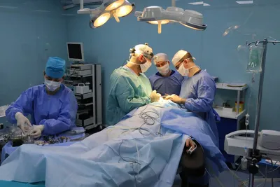 Врачи Хирурги в Краматорске - Клиника Евромед