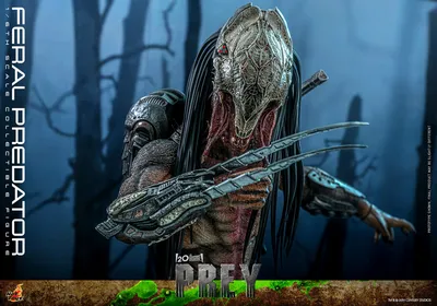 Feral Predator Sixth Scale Figure by Hot Toys | Sideshow Collectibles