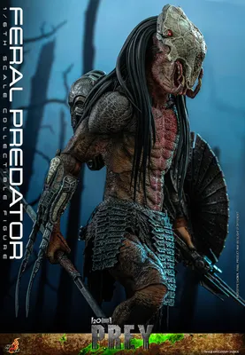 XM Studios Predator King Supreme Scale Statue – Cosmic Chase Collectibles  Pte. Ltd.