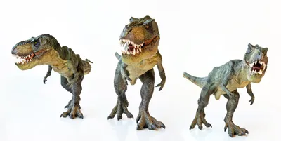 Хищные (плотоядные) динозавры