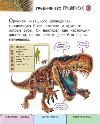 Самый большой хищный динозавр, самый большой динозавр хищник, наземный  хищник самый крупный хищный динозавр, плотоядный динозавр самый большой  сухопутный хищник, доисторические динозавры в картинках, виды динозавров  энциклопедия, денозавры скелет ...
