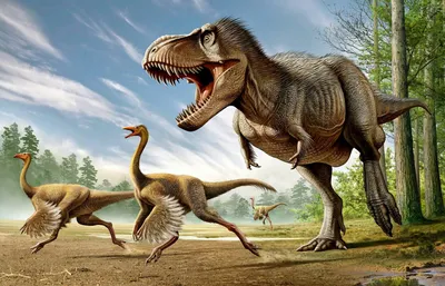 Челюсти динозавров-теропод становились сильнее по мере эволюции
