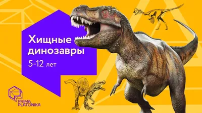 Купить XGL Хищные динозавры 1153904 в Алматы – Магазин на Kaspi.kz