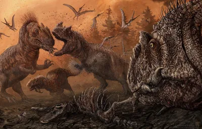Среди хищных динозавров были каннибалы