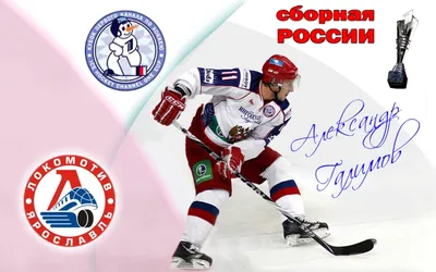 Модульные картины для болельщиков ХК Локомотив Ярославль, купить картину  хоккей, кхл