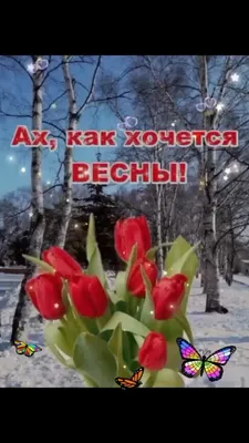 Просто хочется Весны, без болезней, без войны! #реки | TikTok