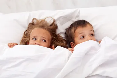 Одеяло залог здоровья. Почему нужно и стоит спать под одеялом?