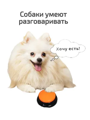 Кнопка для собак жрать хочу, кушать хочу, для дрессировки животных с  записью голоса, звуковая кнопка, кликер для собак , оранжевая - купить с  доставкой по выгодным ценам в интернет-магазине OZON (696825572)