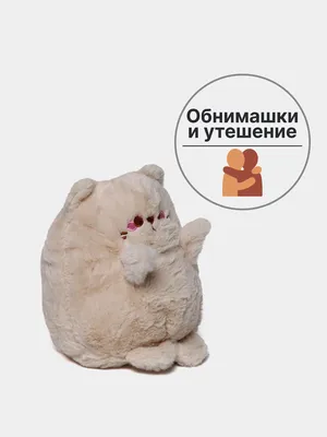 Мягкая игрушка Котик, плюшевая игрушка-подушка для обнимашек и сна купить  по низким ценам в интернет-магазине Uzum (877653)