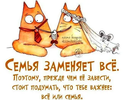 15 мая в Беларуси отмечают День семьи