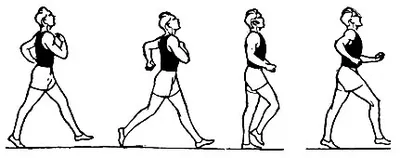 Бег или ходьба? Что выбрать для здоровья | Здоровая жизнь | Здоровье |  Аргументы и Факты