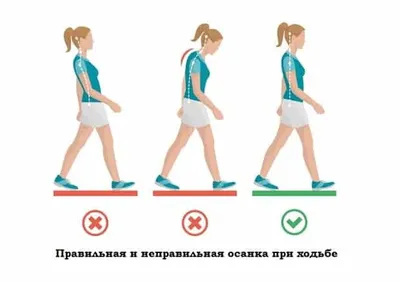 Более 24 900 работ на тему «спортивная ходьба»: стоковые фото, картинки и  изображения royalty-free - iStock