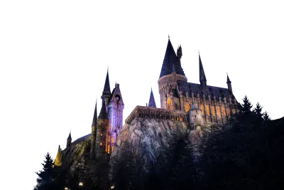 Обзор Hogwarts Legacy — тупость, твари и Хогвартс твоей мечты