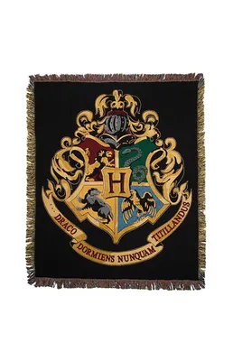 Beast-Kingdom USA | MC-043 Harry Potter And The Philosopher's Stone Master  Craft Hogwarts School Of Witchcraft And Wizardry