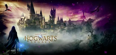 Подробный обзор видеоигры Hogwarts Legacy: все достоинства и недостатки |  РБК Life