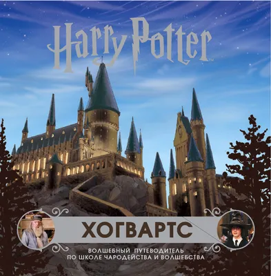 Купить постер (плакат) Гарри Поттер: Хогвартс на стену для интерьера