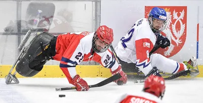 Хоккей Россия - Швеция / PhotoXPress