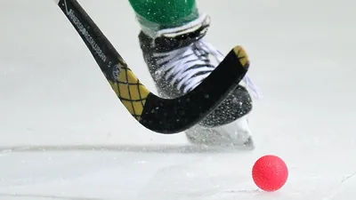 Хоккей с мячом - Галерея - ВПК.name