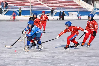 Первенство Свердловской области по хоккею с мячом | Спортивная школа  «Энергия»