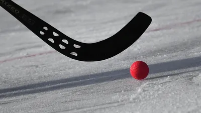 В Черногорске подведены итоги турнира по хоккею с мячом | Министерство  физической культуры и спорта Республики Хакасия